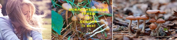 гидра Балабаново